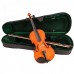 Kofer za violinu B 3/4